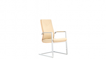 Форма кресло со средней спинкой на полозьях
